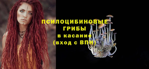 спайс Каменка