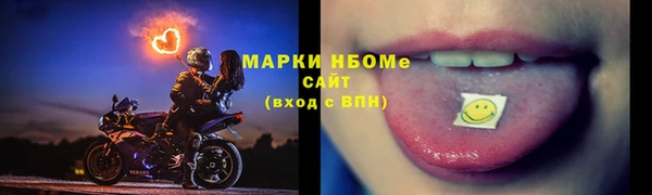 соль ск Каменногорск