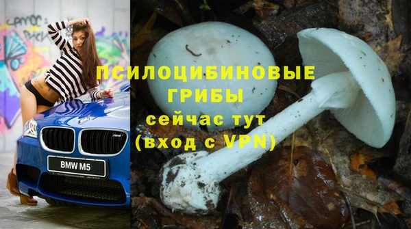 винт Каменск-Шахтинский