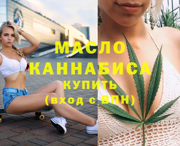 соль ск Каменногорск