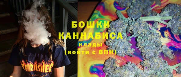 спайс Каменка