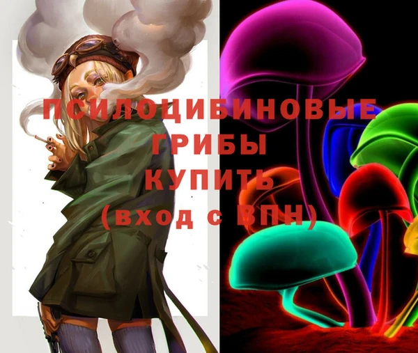 спайс Каменка