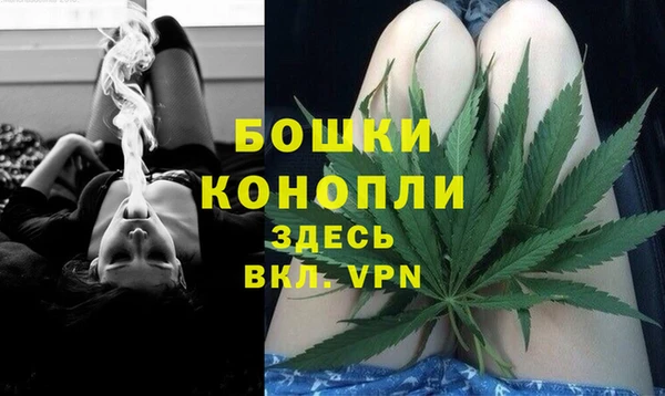 соль ск Каменногорск