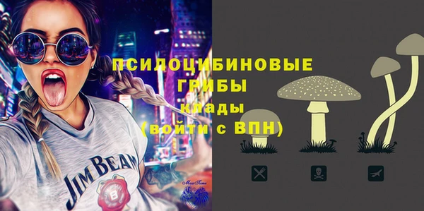 винт Каменск-Шахтинский