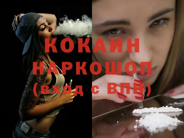 спайс Каменка