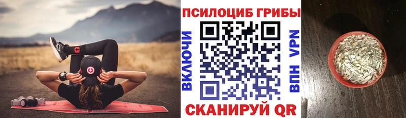 Купить  Рыбное  Псилоцибиновые грибы Magic Shrooms 